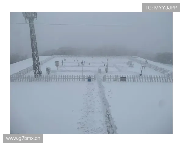 大雪阻航河南队今晨飞抵昆明