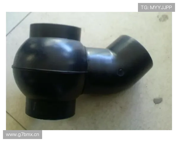 哈曼批穆西亚拉仍不足施洛特染红